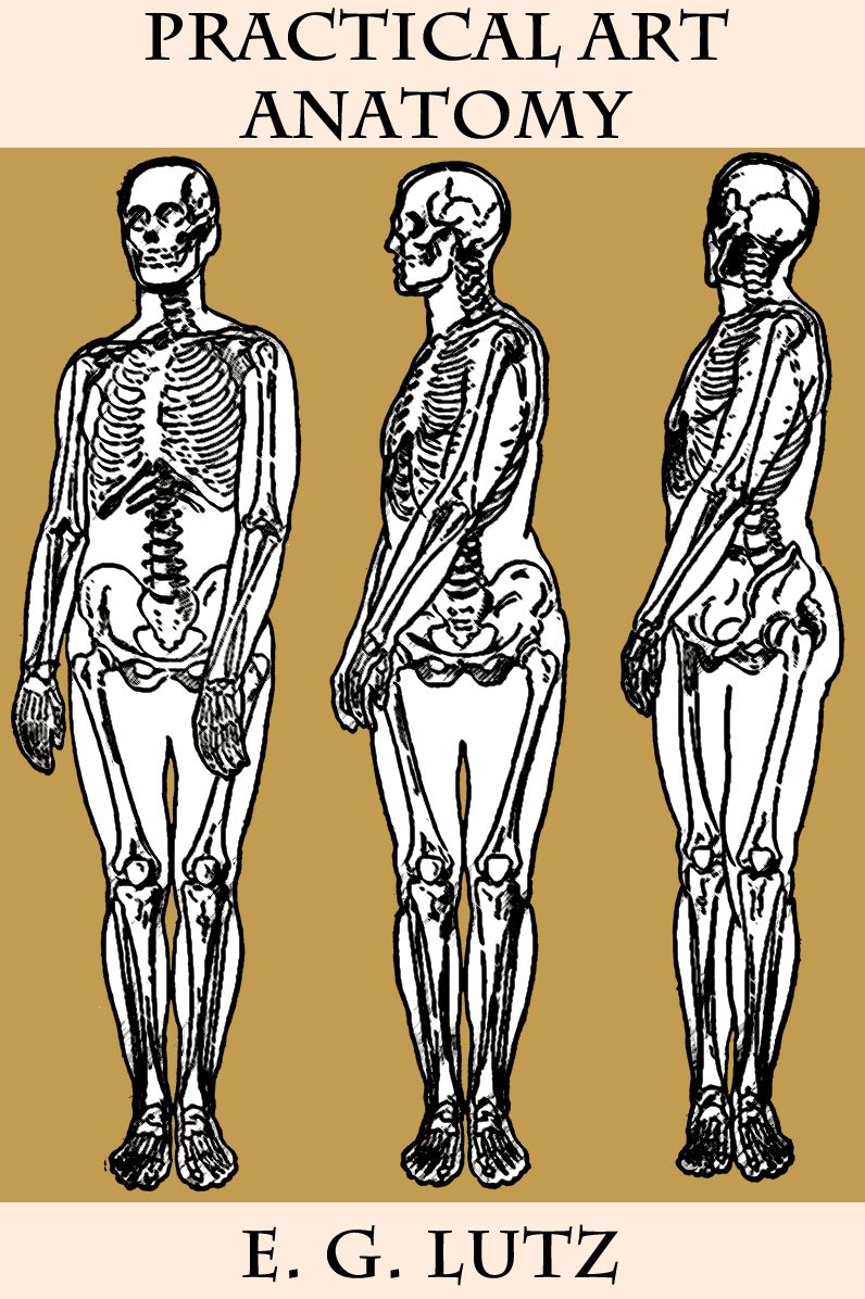 Practical Art Anatomy
