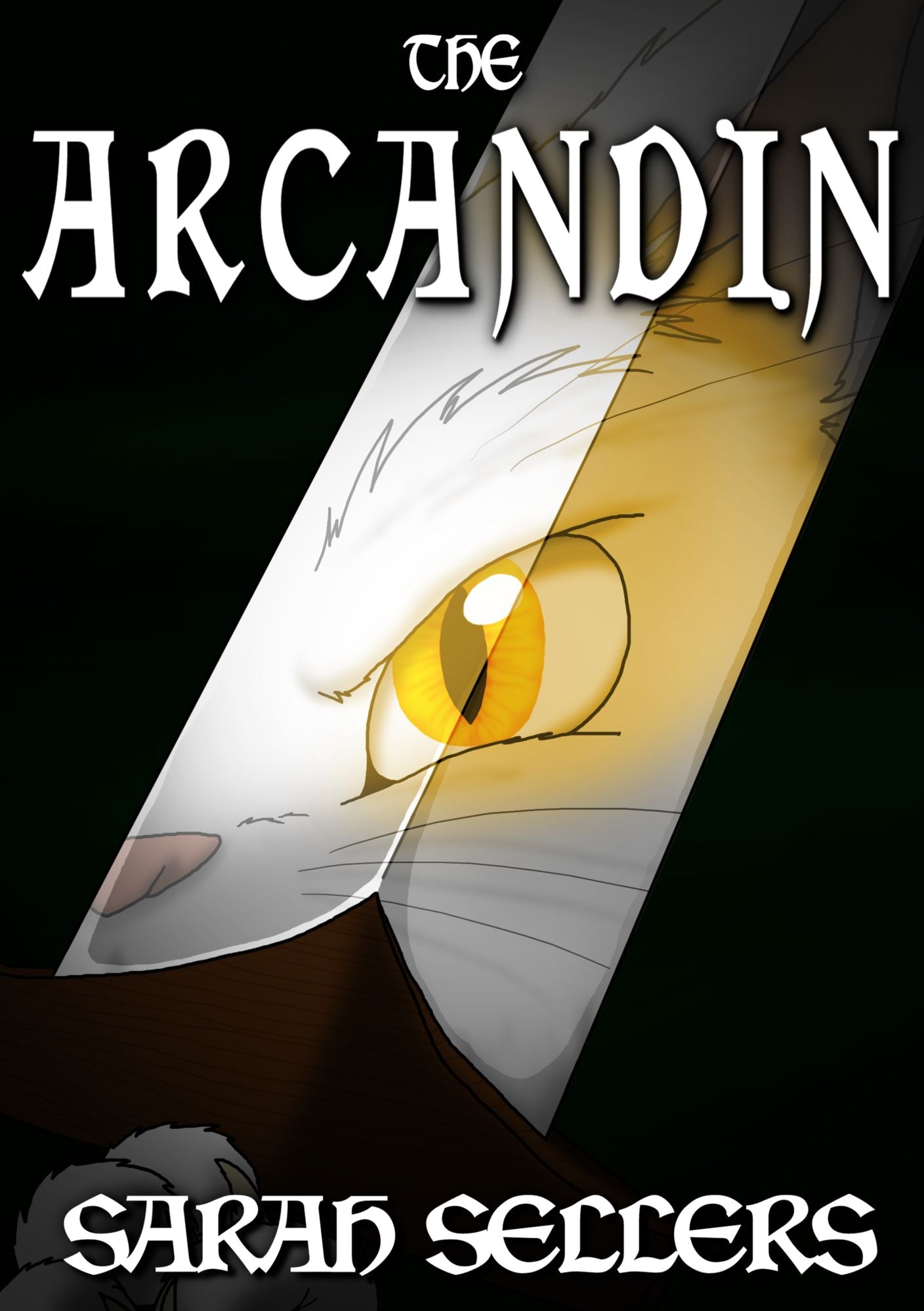 The Arcandin