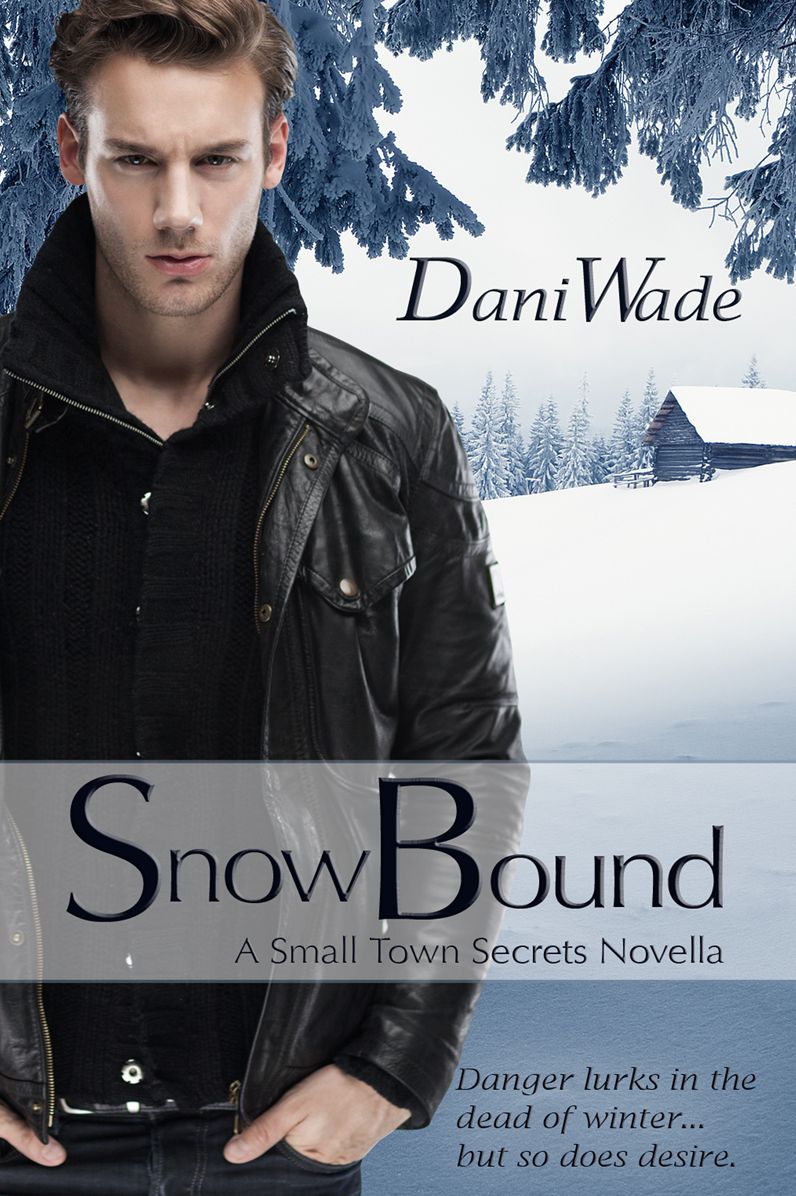 Snow Bound, Small Town Secrets Novella