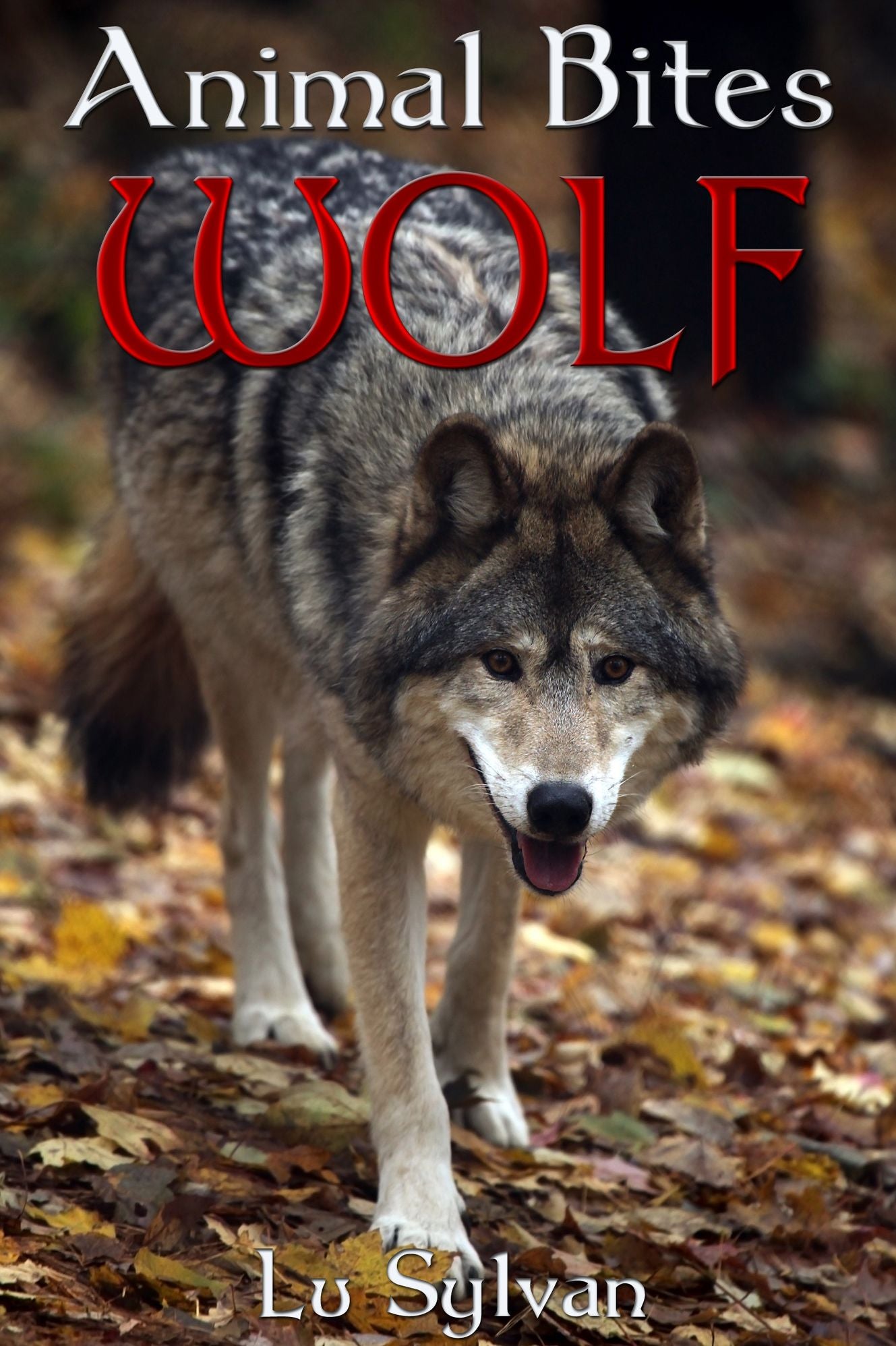 Animal Bites: WOLF