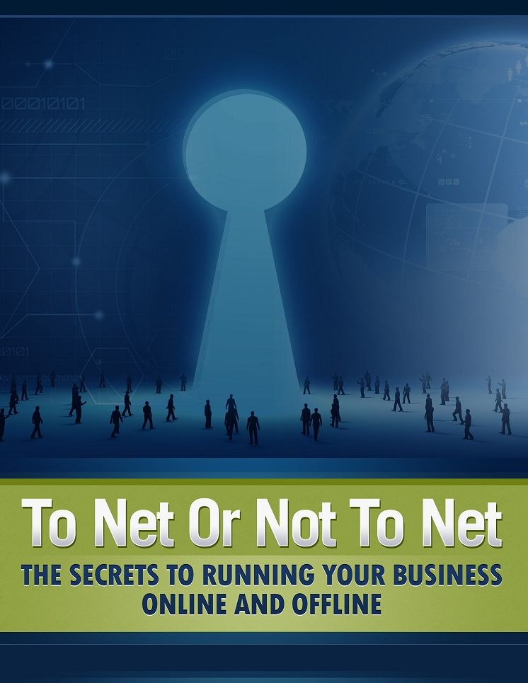 To Net Or Not To Net: The Secrets To Running Your Business Online And Offline