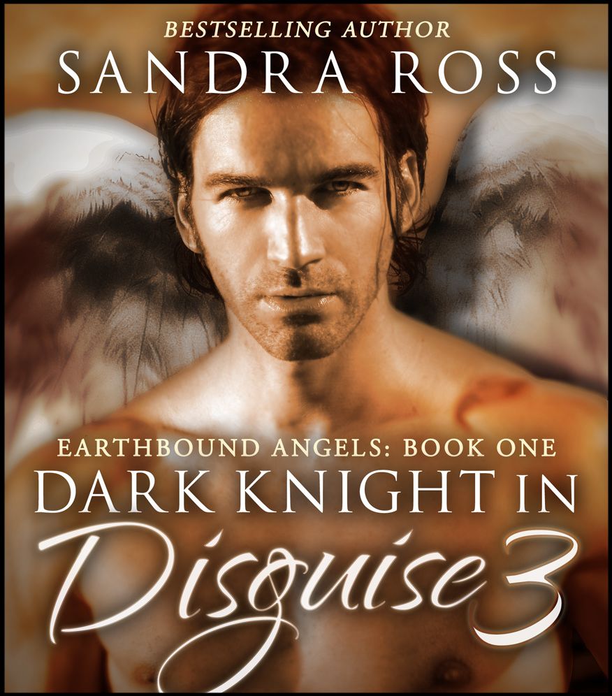 Dark Knight in Disguise III: Earthbound Angels 1