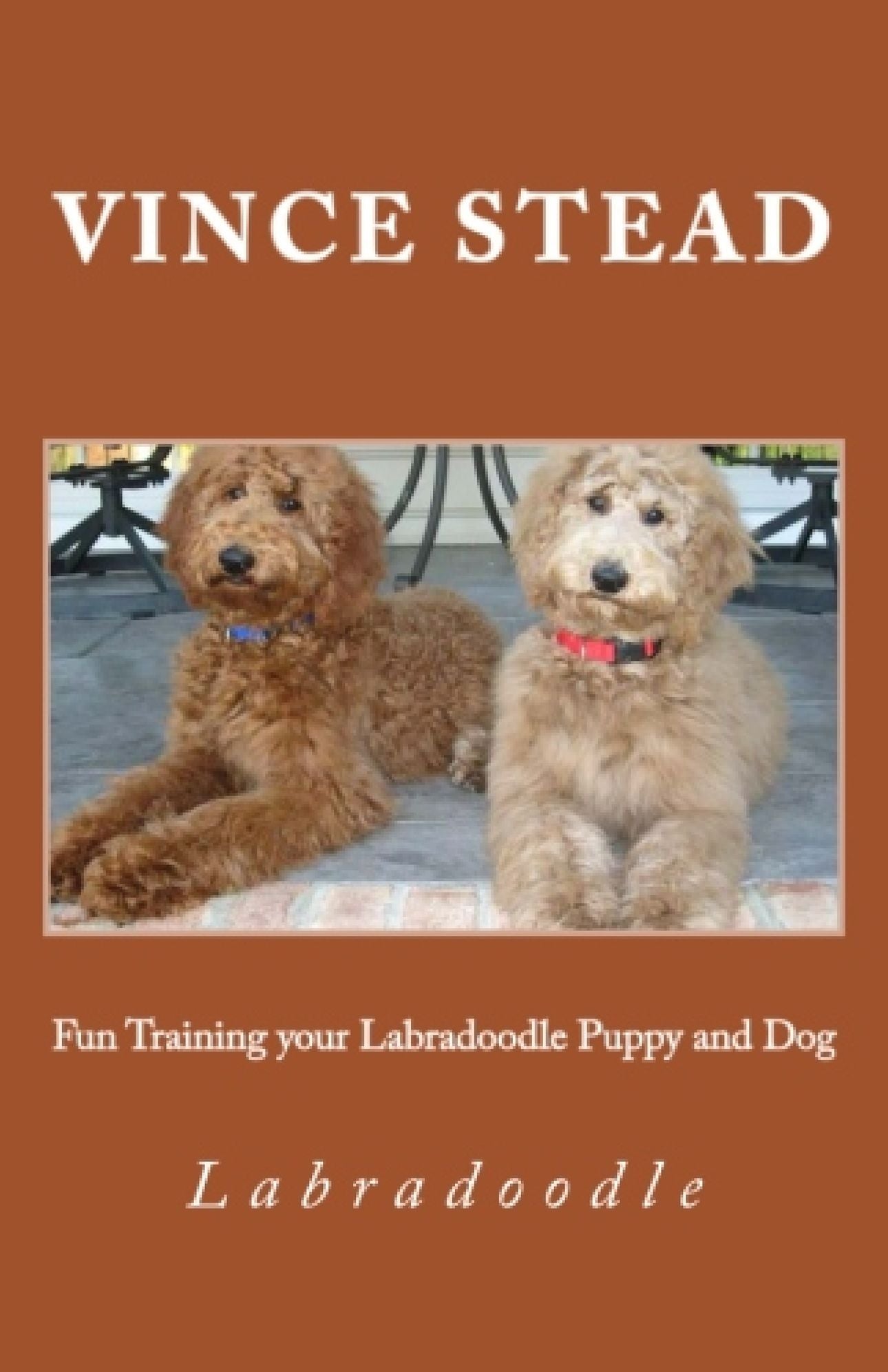 Fun Training your Labradoodle Puppy and Dog