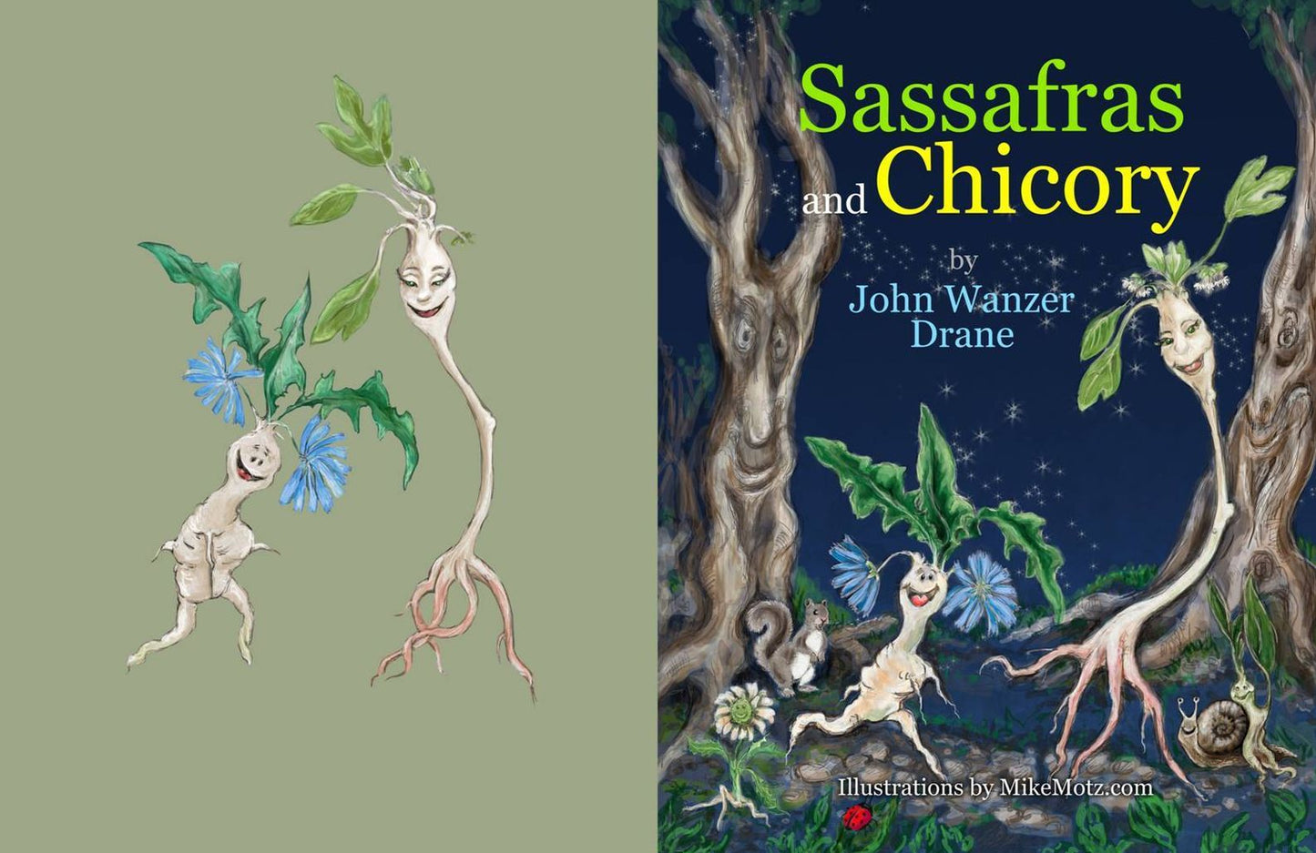 Sassafras and Chicory