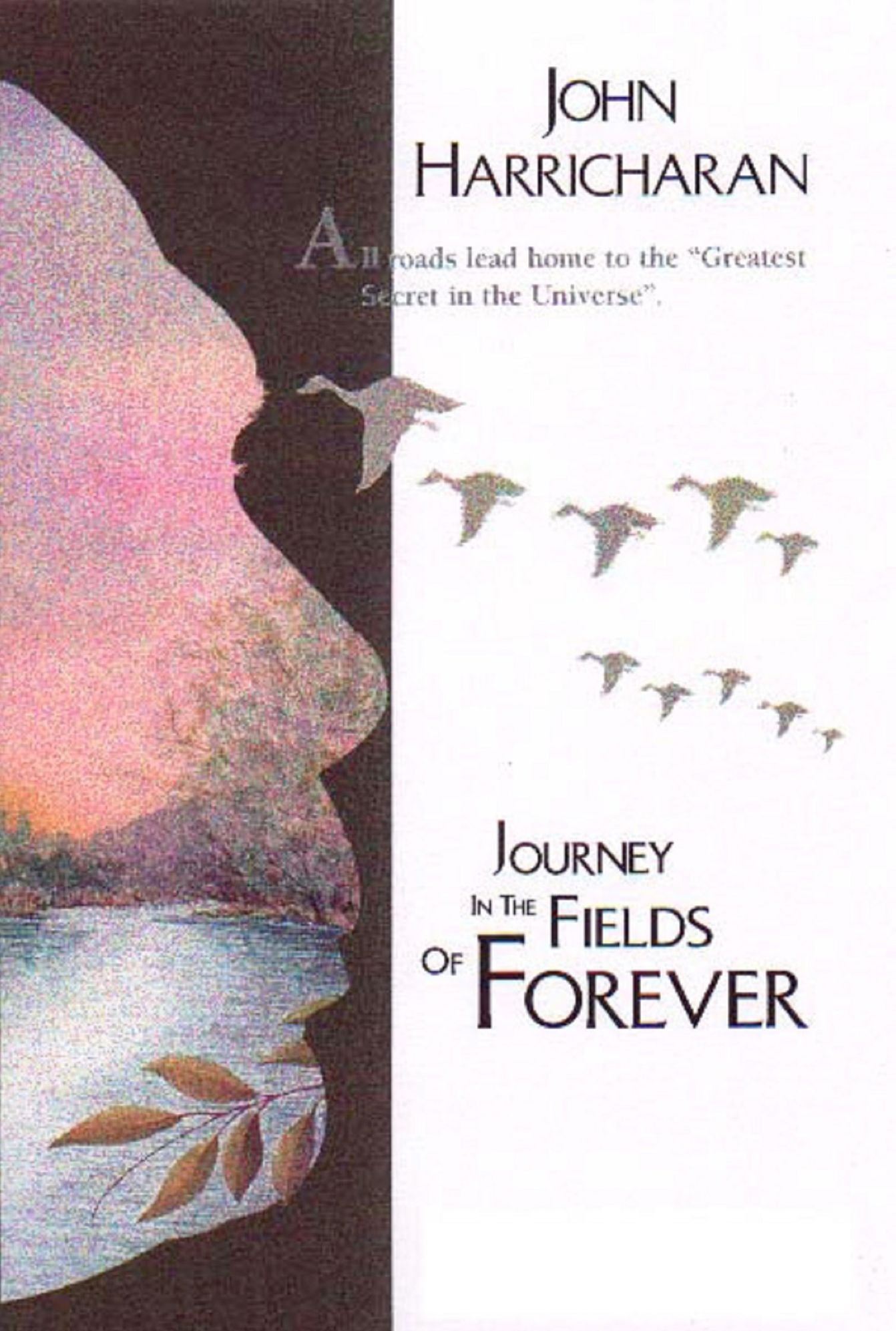 Journey in the Fields of Forever