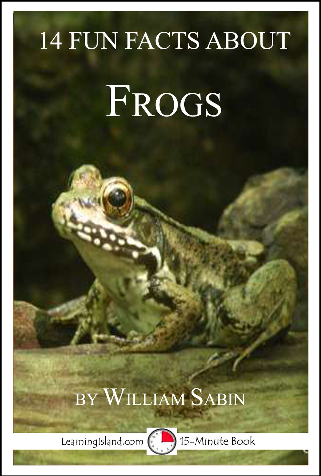 14 Fun Facts About Frogs
