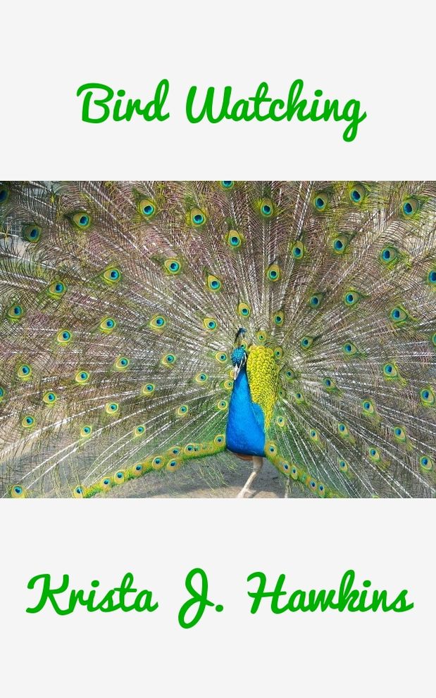 Bird Watching Enthusiasts Best Guide