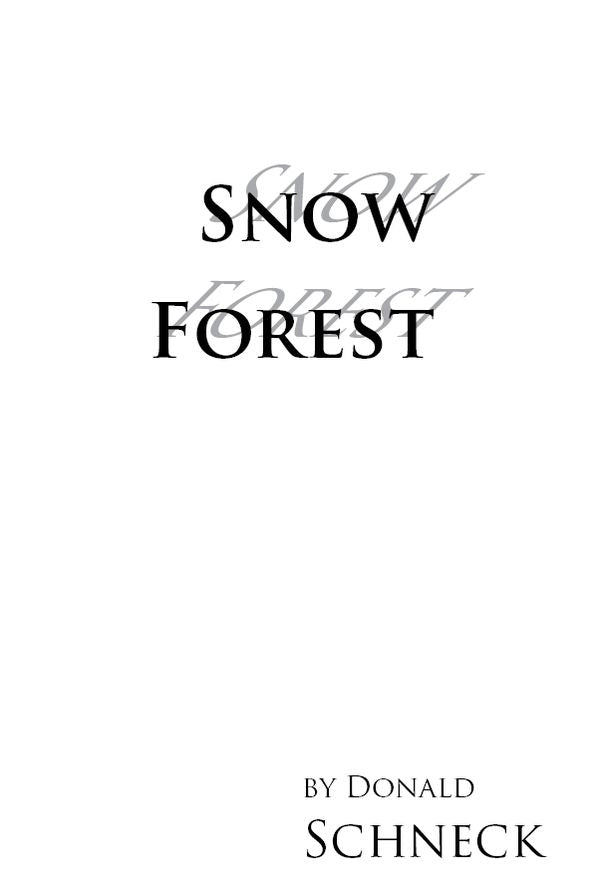 Snow Forest