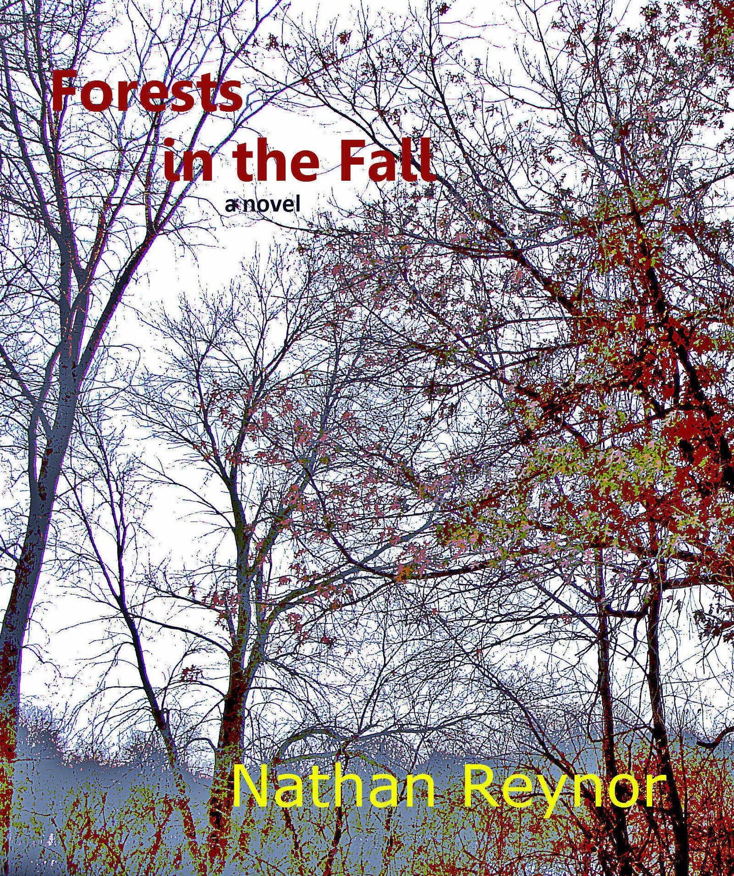 Forests in the Fall