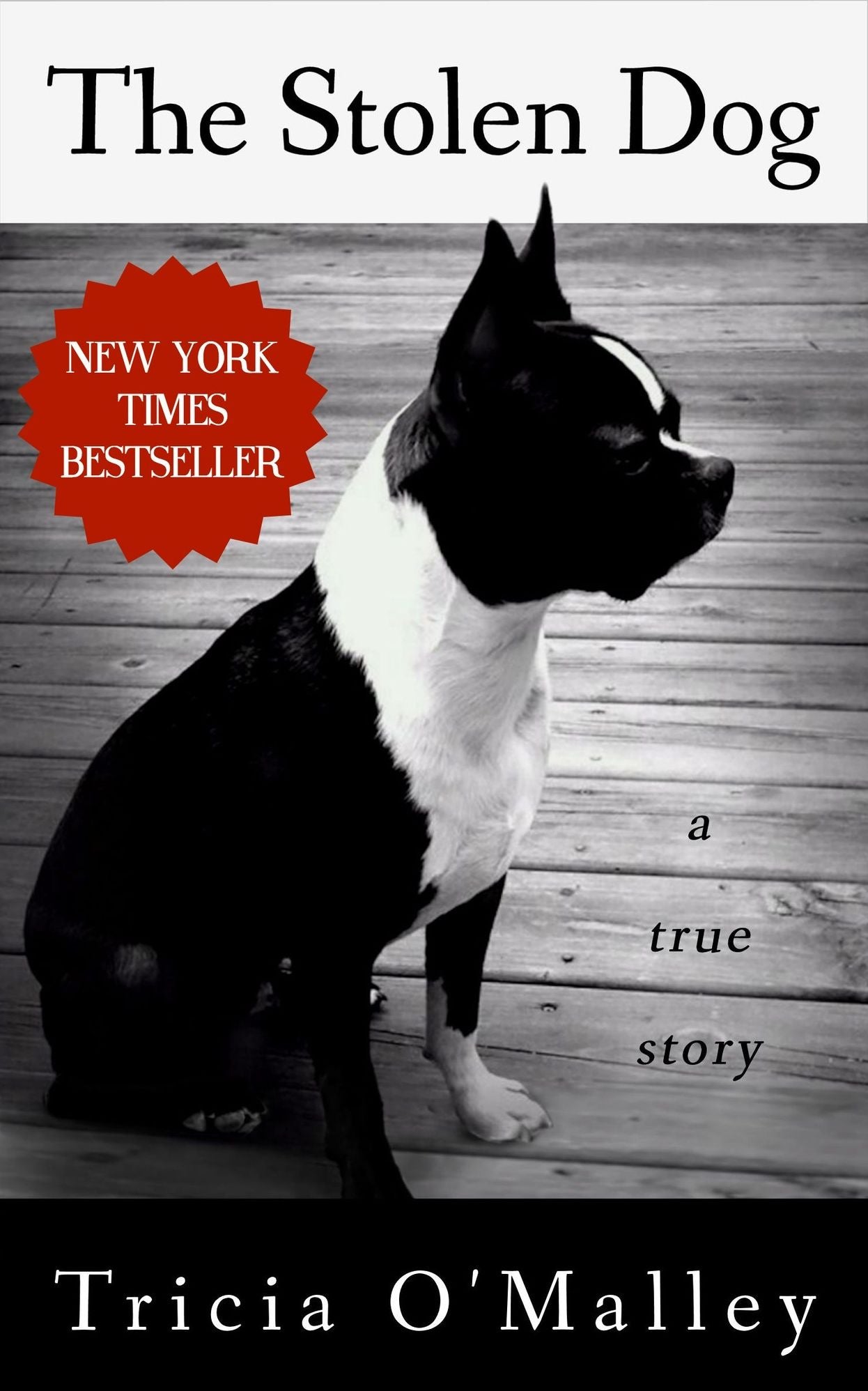 The Stolen Dog
