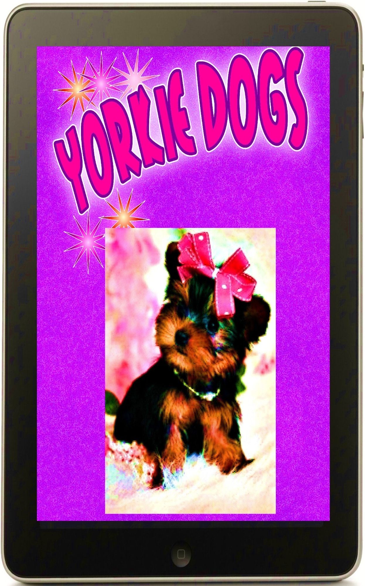 yorkshire terrier (dog days)