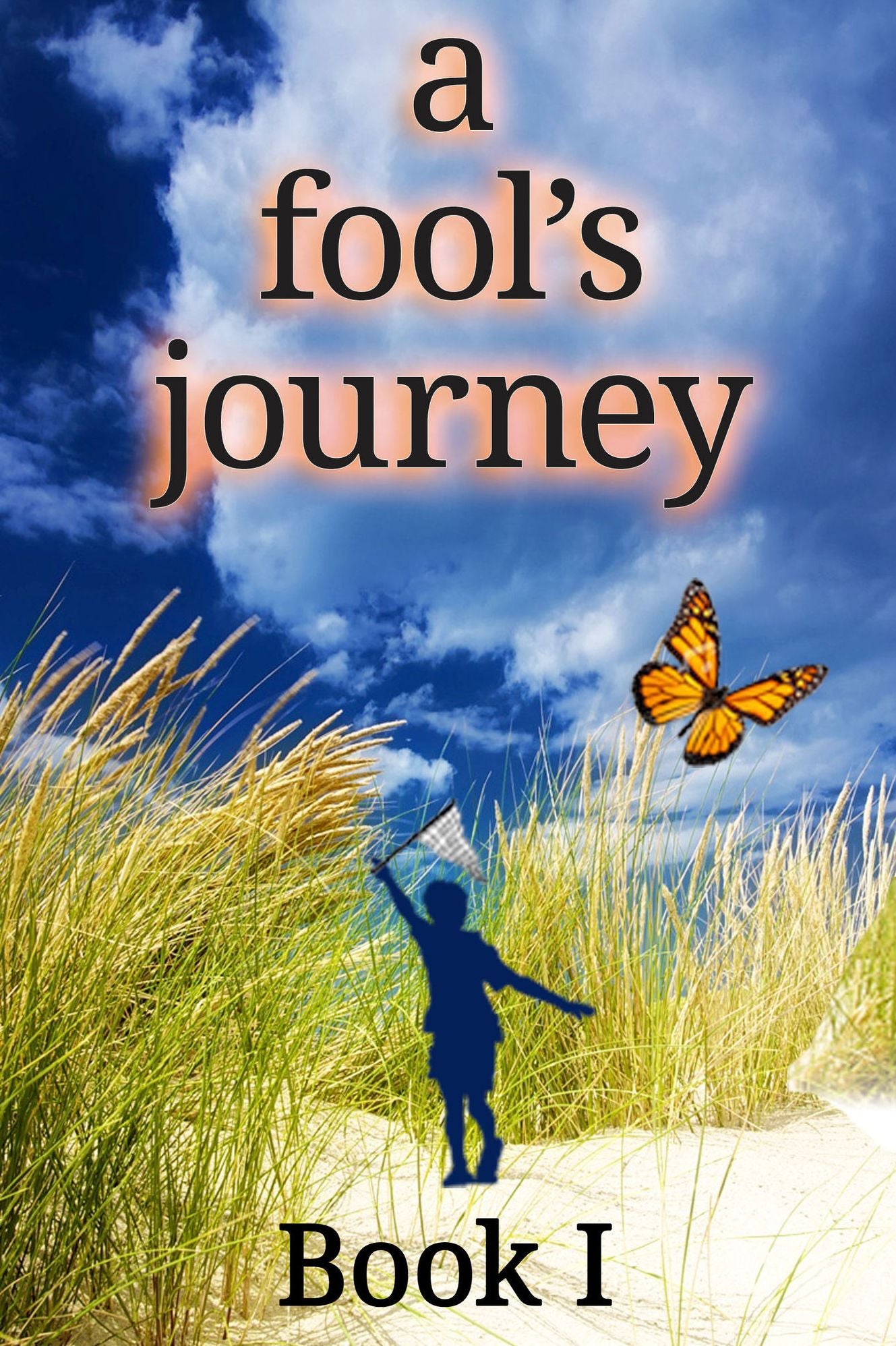 a fool's journey Book I