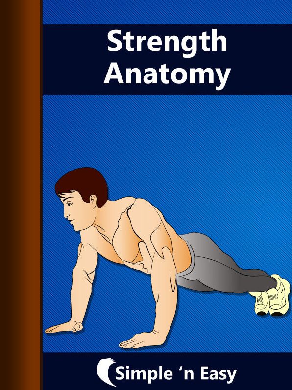 Strength Anatomy