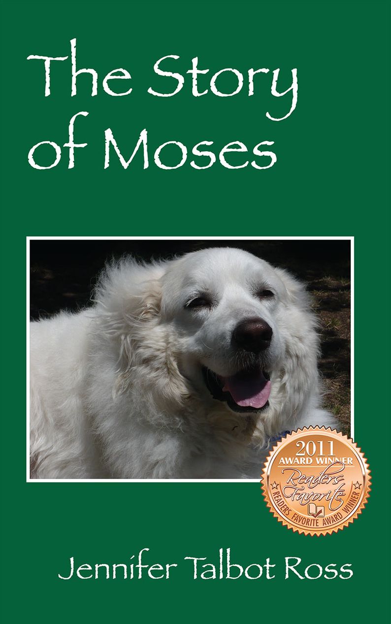 The Story of Moses