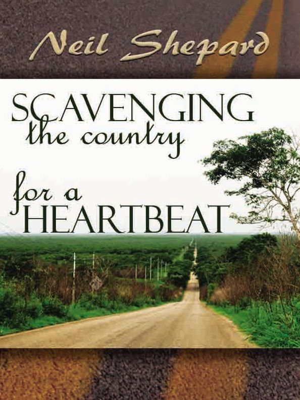 SCAVENGING THE COUNTRY FOR A HEARTBEAT: Poems