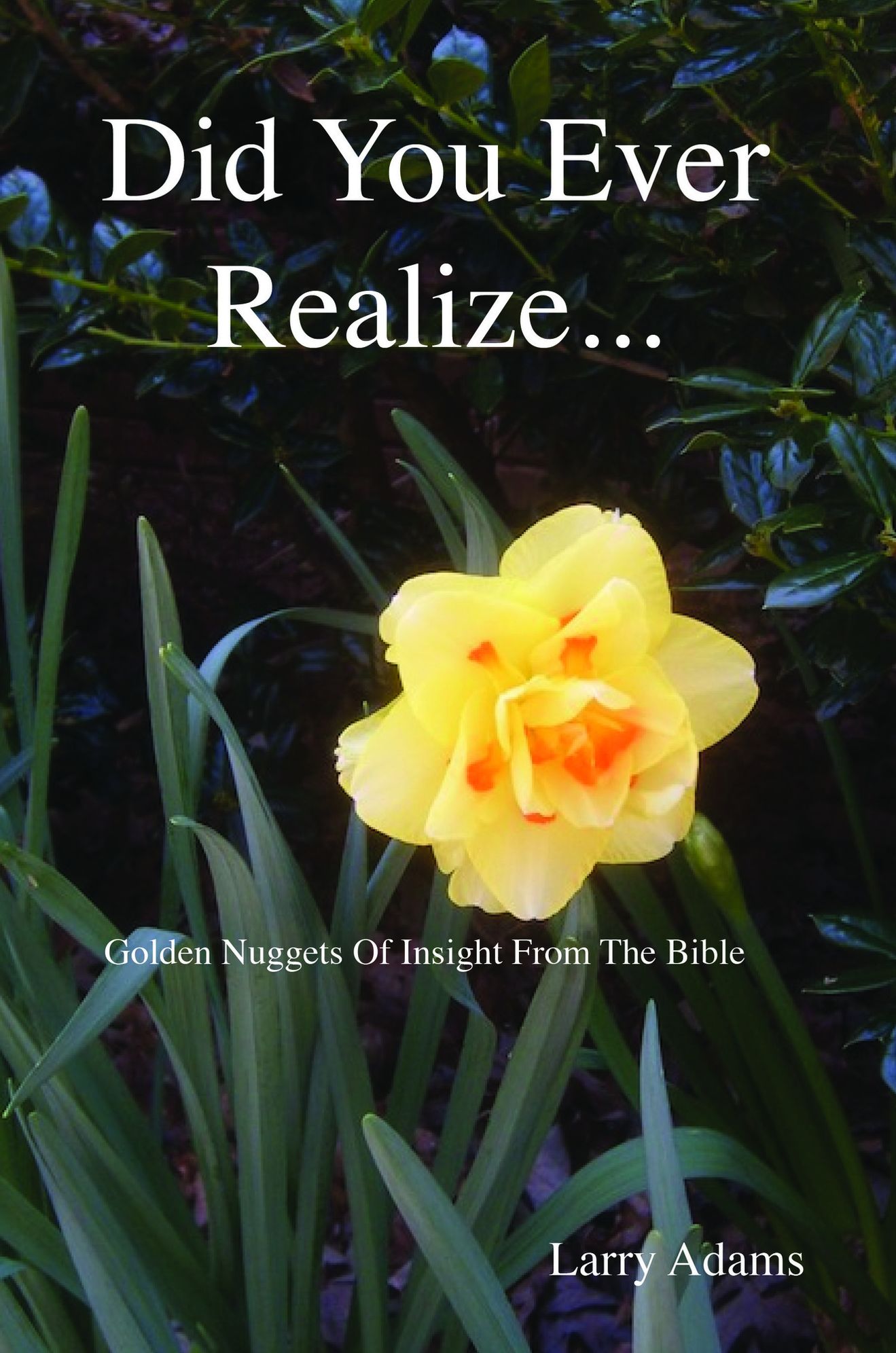 Did You Ever Realize...