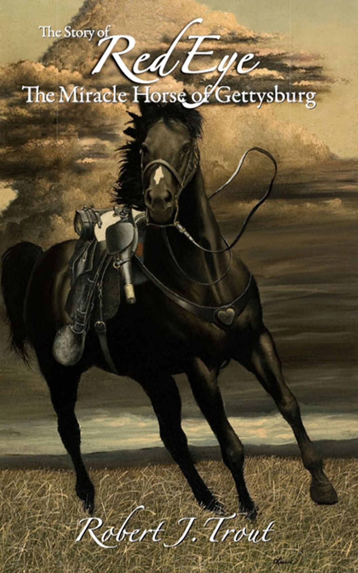 The Story of Red Eye: The Miracle Horse of Gettysburg
