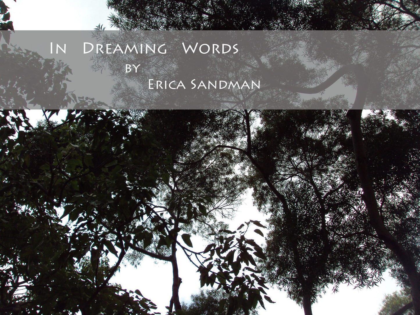 In Dreaming Words
