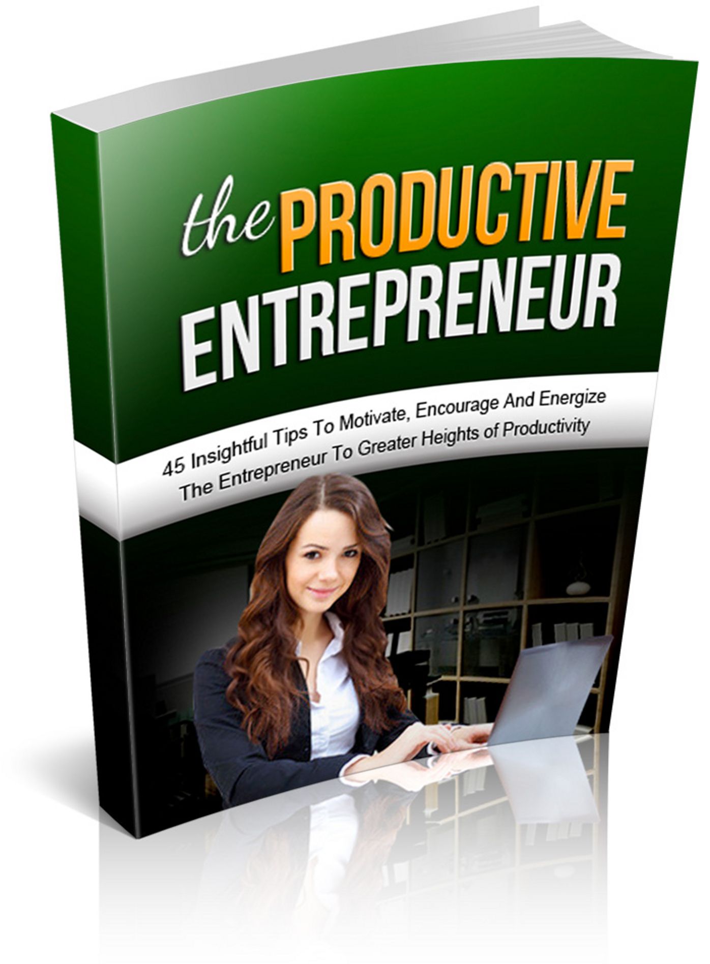 The Productive Entrepreneur: "Discover 45 Insightful Tips To Motivate, Encourage And Energize You To Become A Successful Entrepreneur ..." (Brand New) AAA+++
