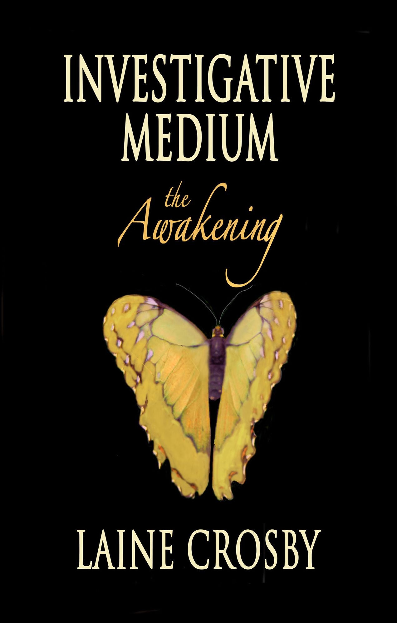 Investigative Medium - the Awakening