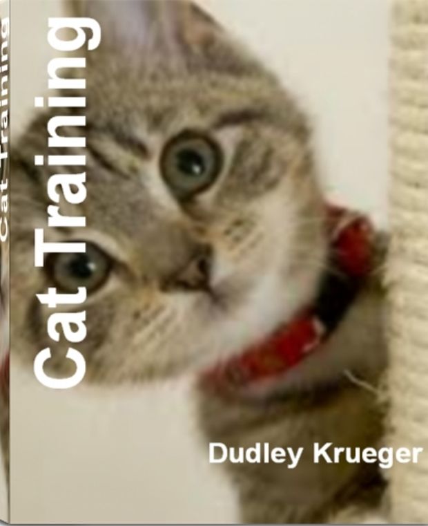 Cat Training: A Must-Read Guide On Cat Training In 10 Minutes, Cat Playing, Cat Fighting, Cat Toilet Training, Finding The Best Cat Trainer and More