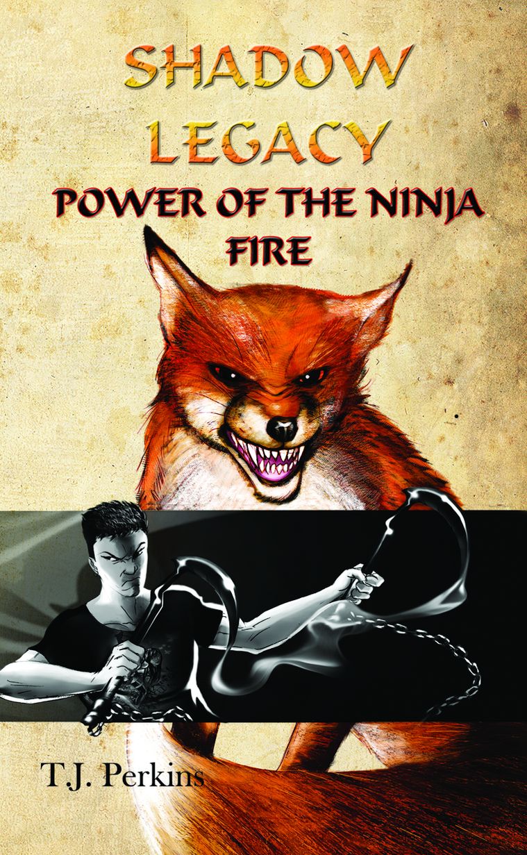 Power of the Ninja - Fire