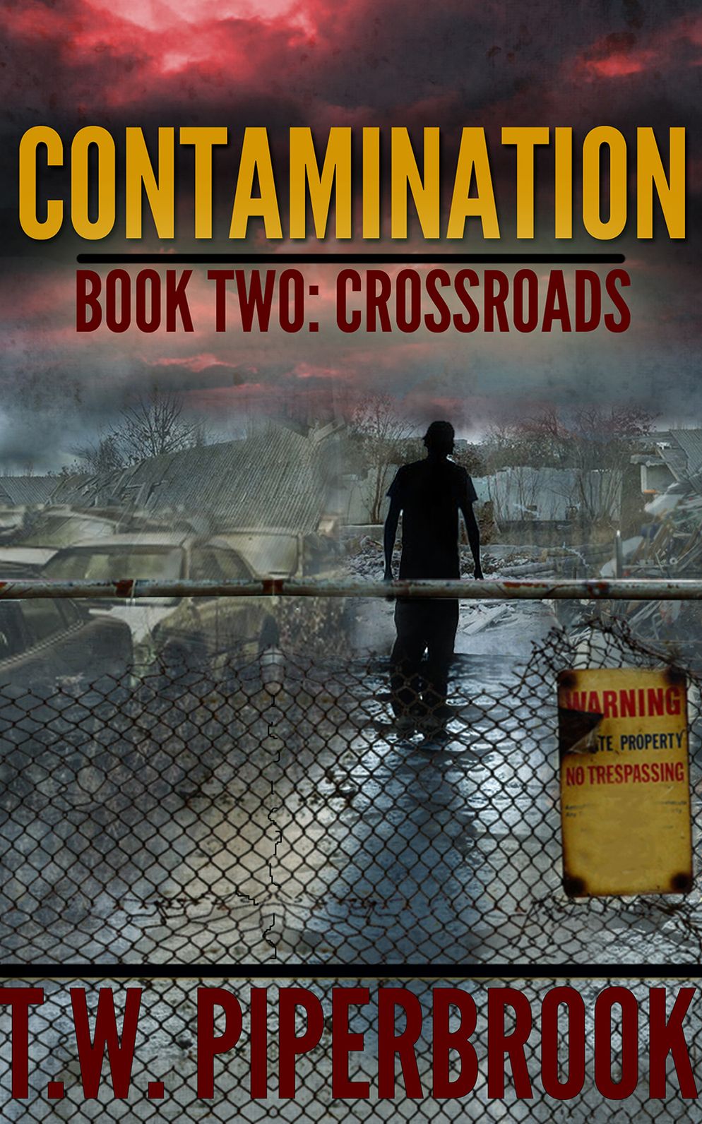 Contamination Book Two: Crossroads