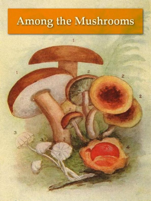 Among the Mushrooms; A Guide for Beginners