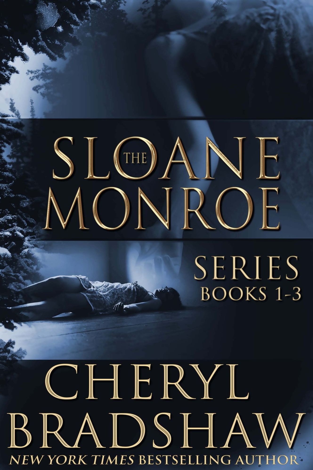 Sloane Monroe Series Boxed Set, Books 1-3