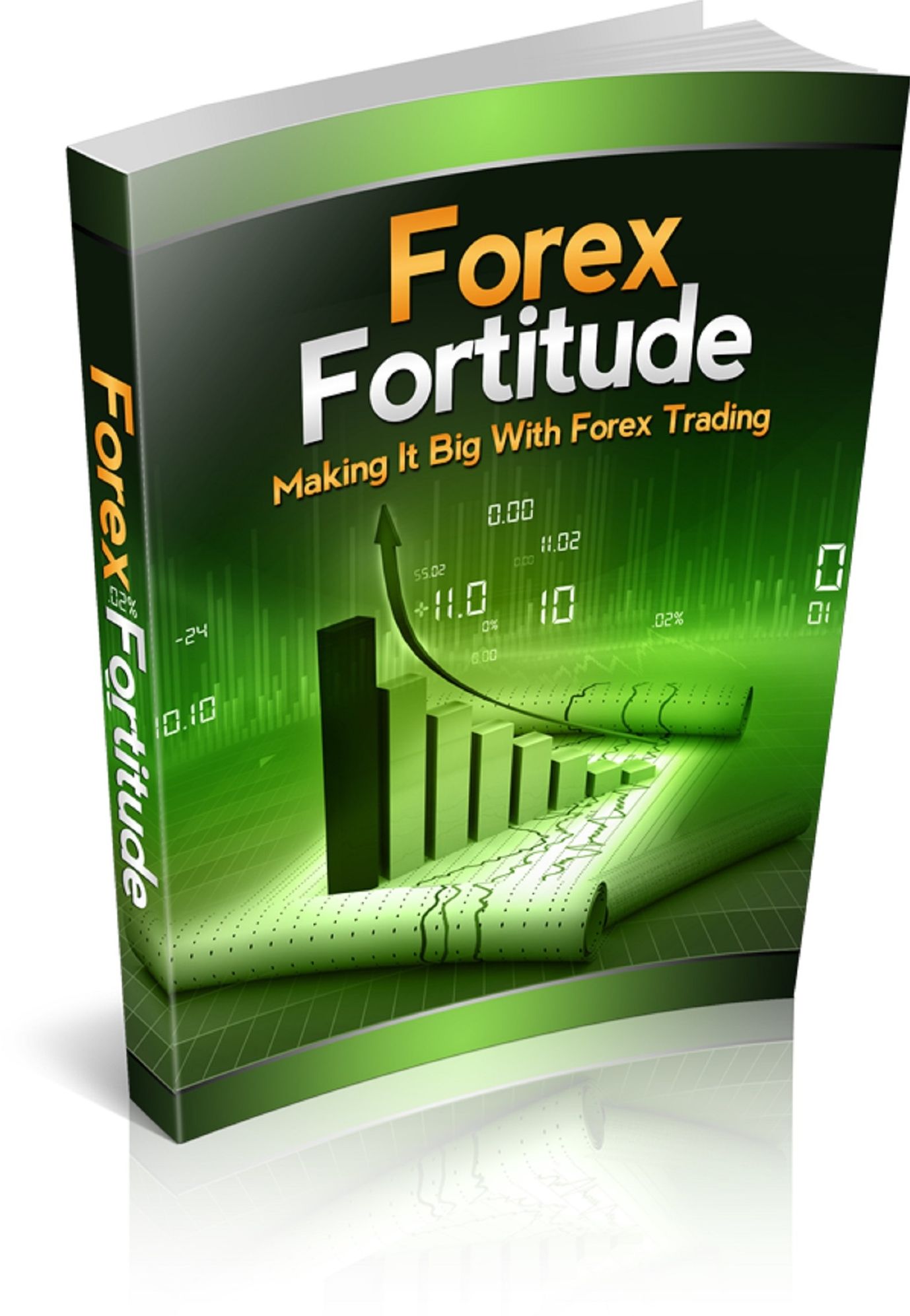 Forex Fortitude: Making it Big with Forex Trading