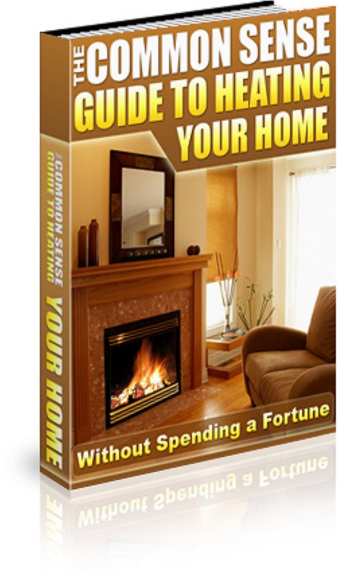 The Common Sense Guide to Heating Your Home: Without Spending a Fortune