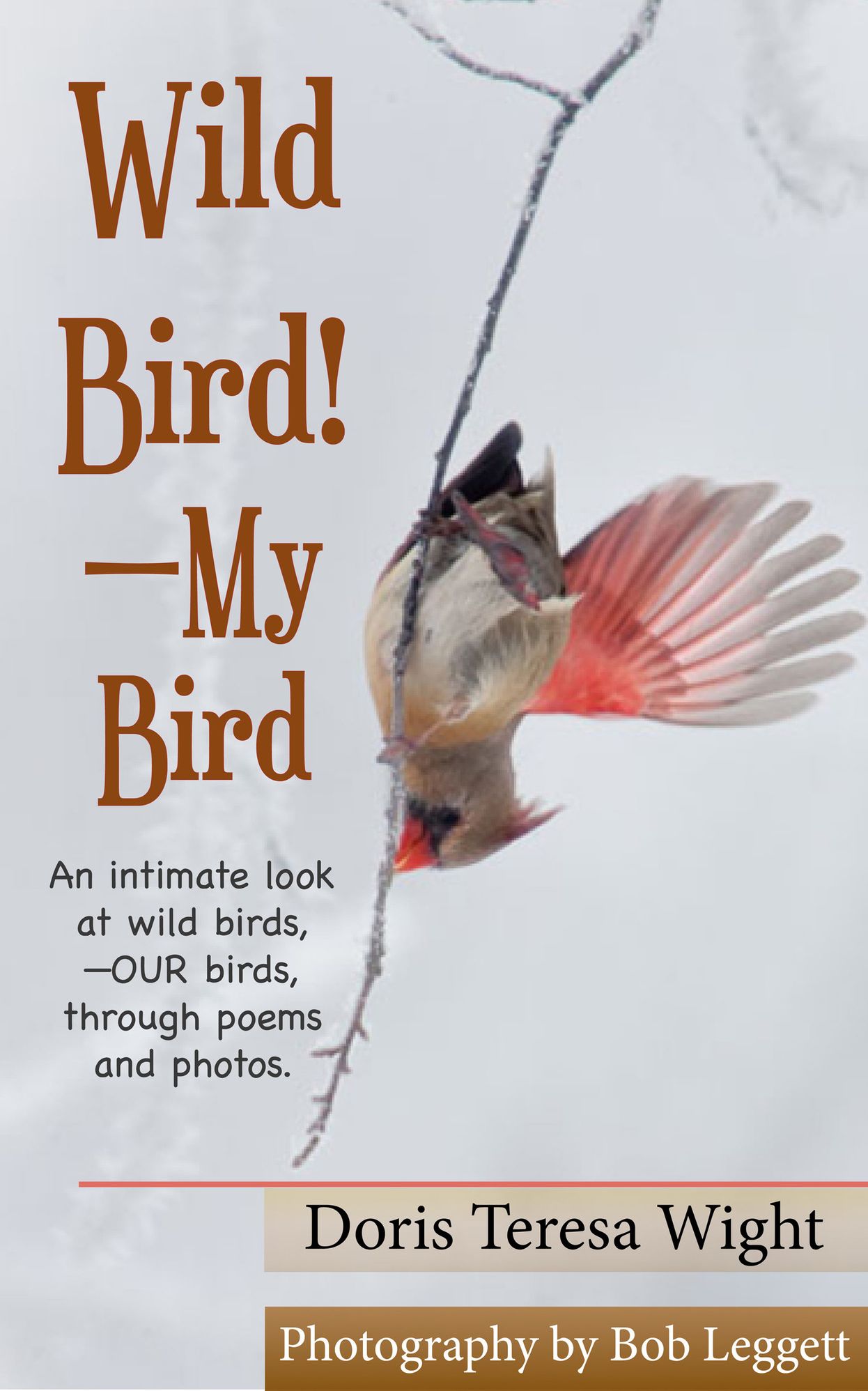 Wild Bird! My Bird