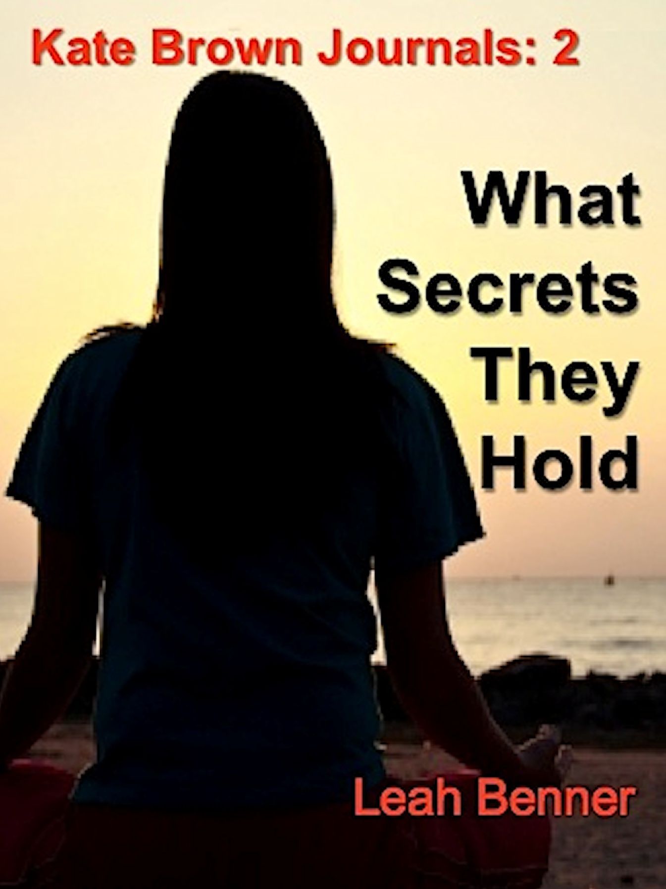 What Secrets They Hold (Kate Brown Journals: 2)