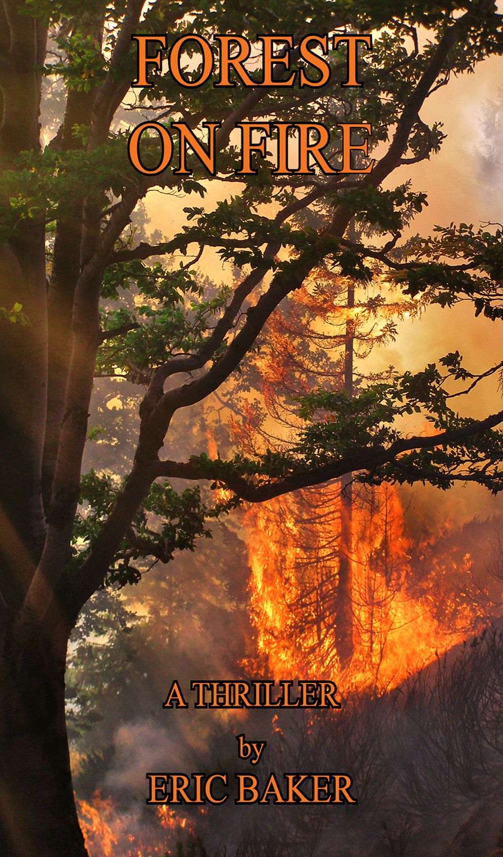 FOREST ON FIRE