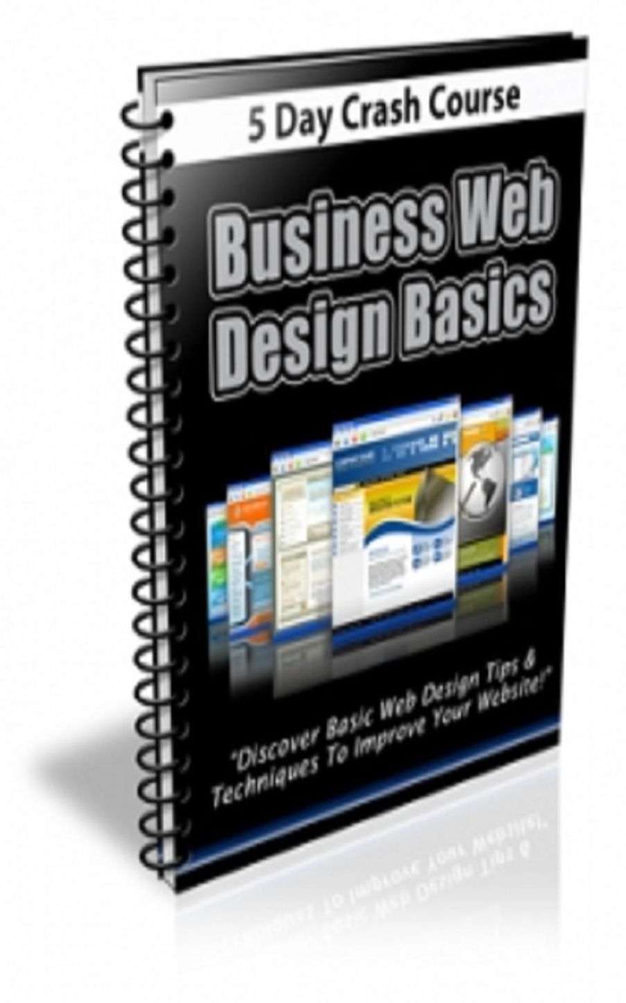 Business Web Design Basics Newsletter