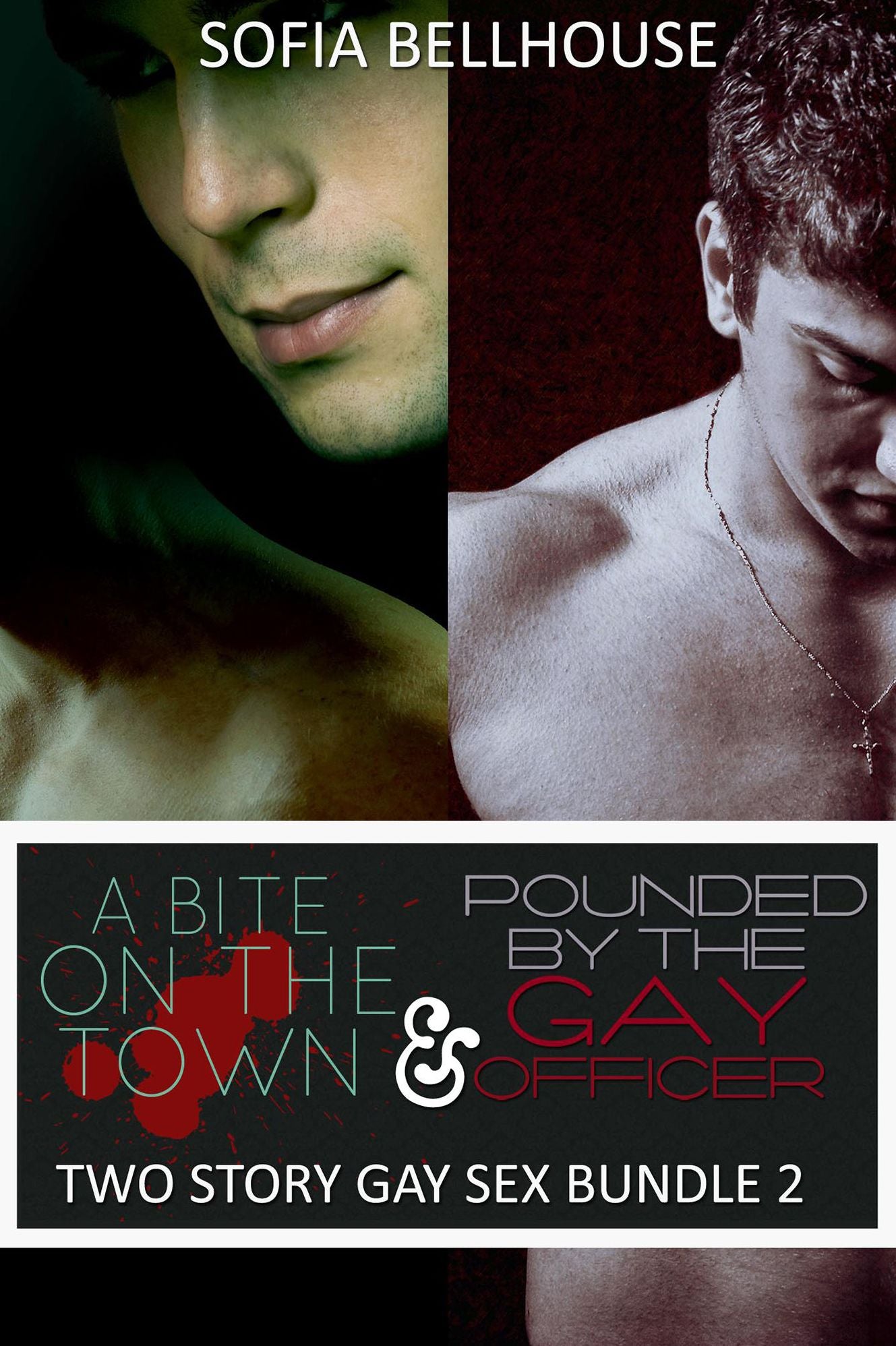 Two Story Gay Bundle 2 (A Bite on the Town) (Pounded by the Gay Officer)