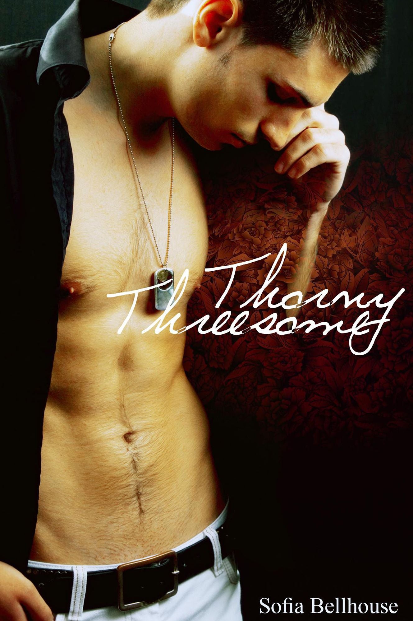 Thorny Threesome (gay menage erotica)