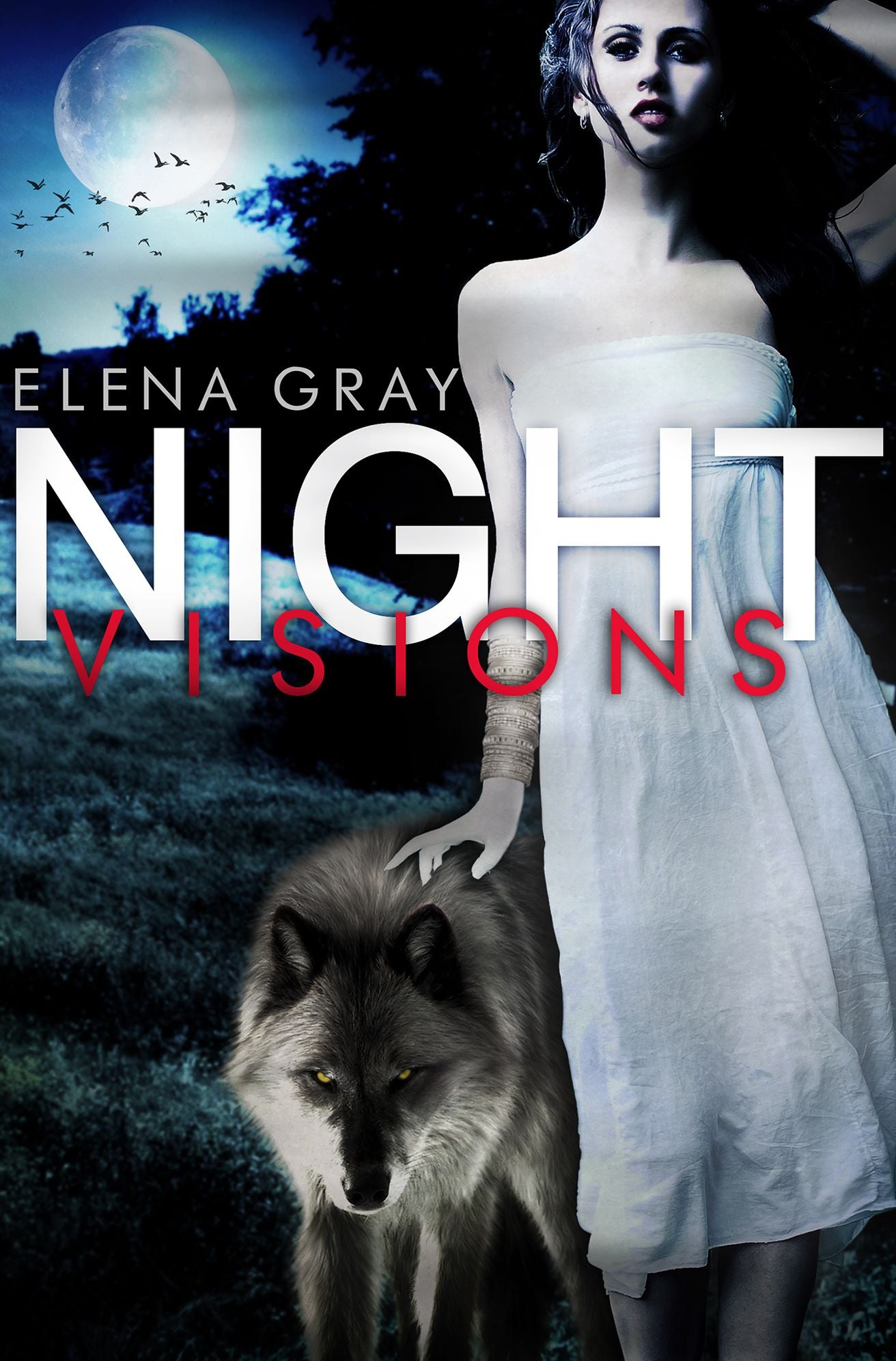 Night Visions