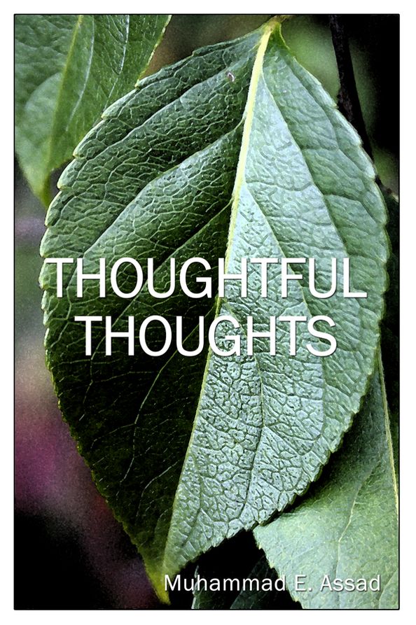 Thoughtful Thoughts