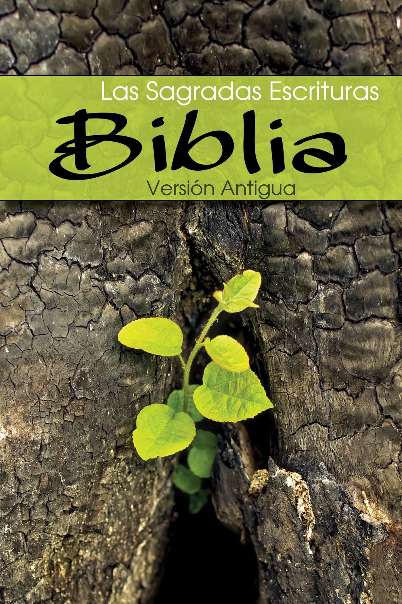 Biblia del Jubileo