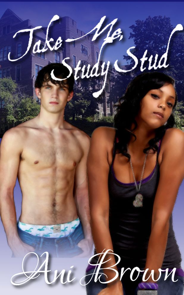 Take Me, Study Stud! (BWWM Interracial Romance)