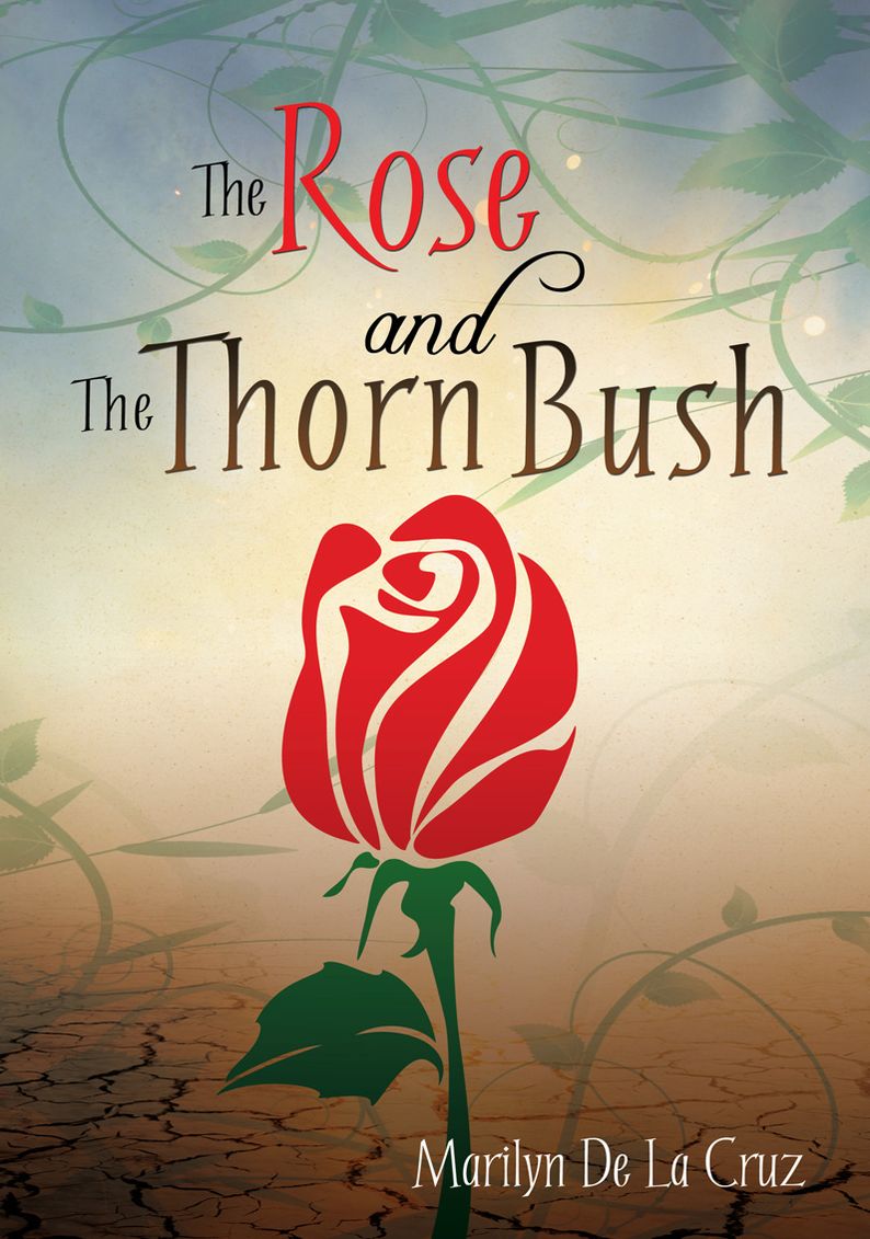 The Rose and the Thorn Bush