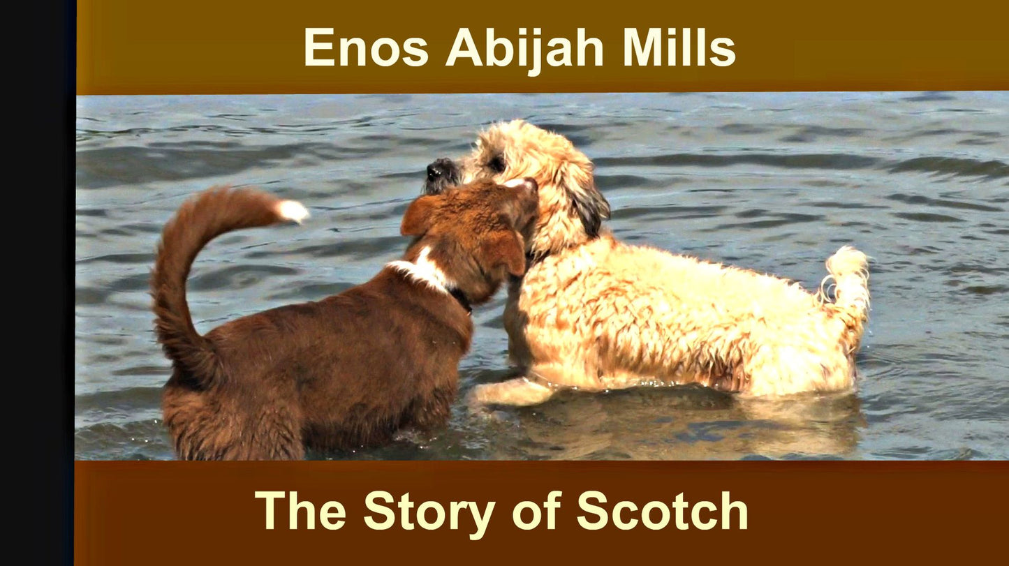 The Story of Scotch
