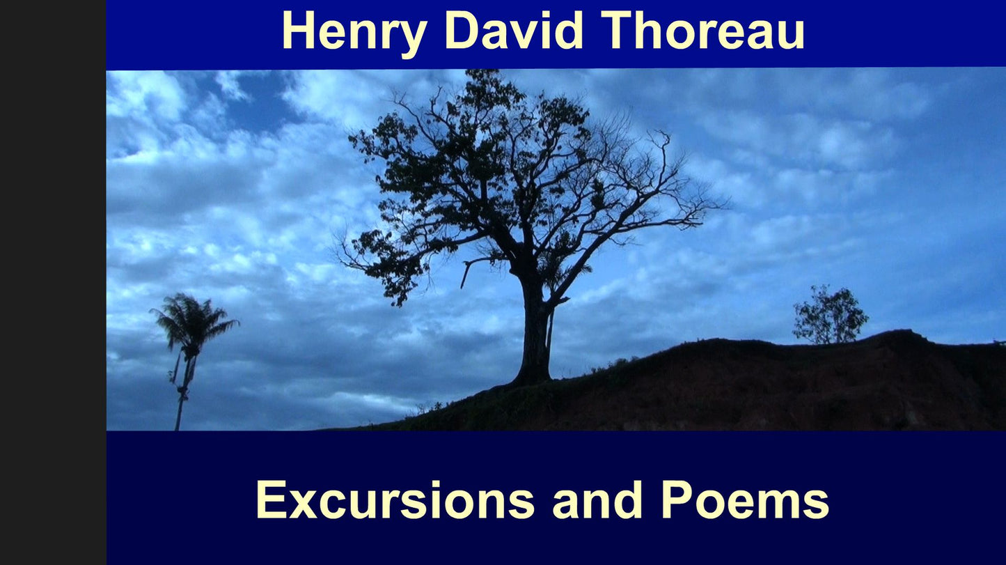 Excursions and Poems