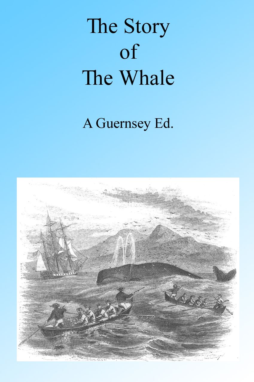 The Story of the Whale, Illustrated