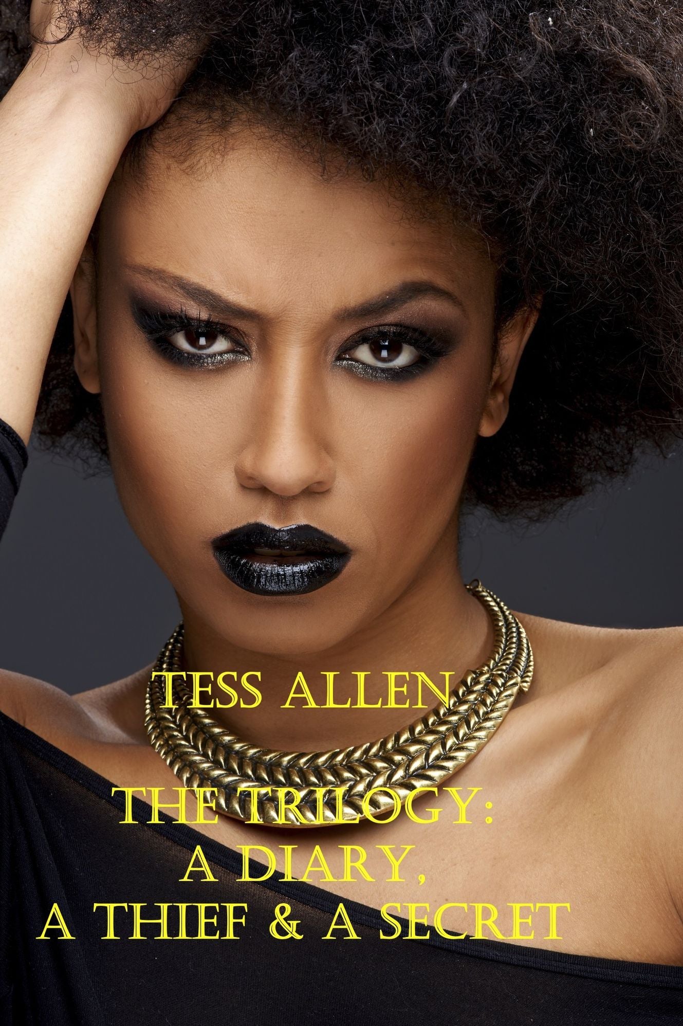 The Trilogy: A Diary, A Thief & A Secret