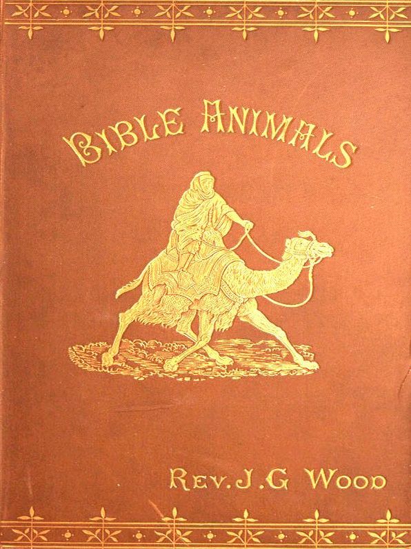 Bible Animals