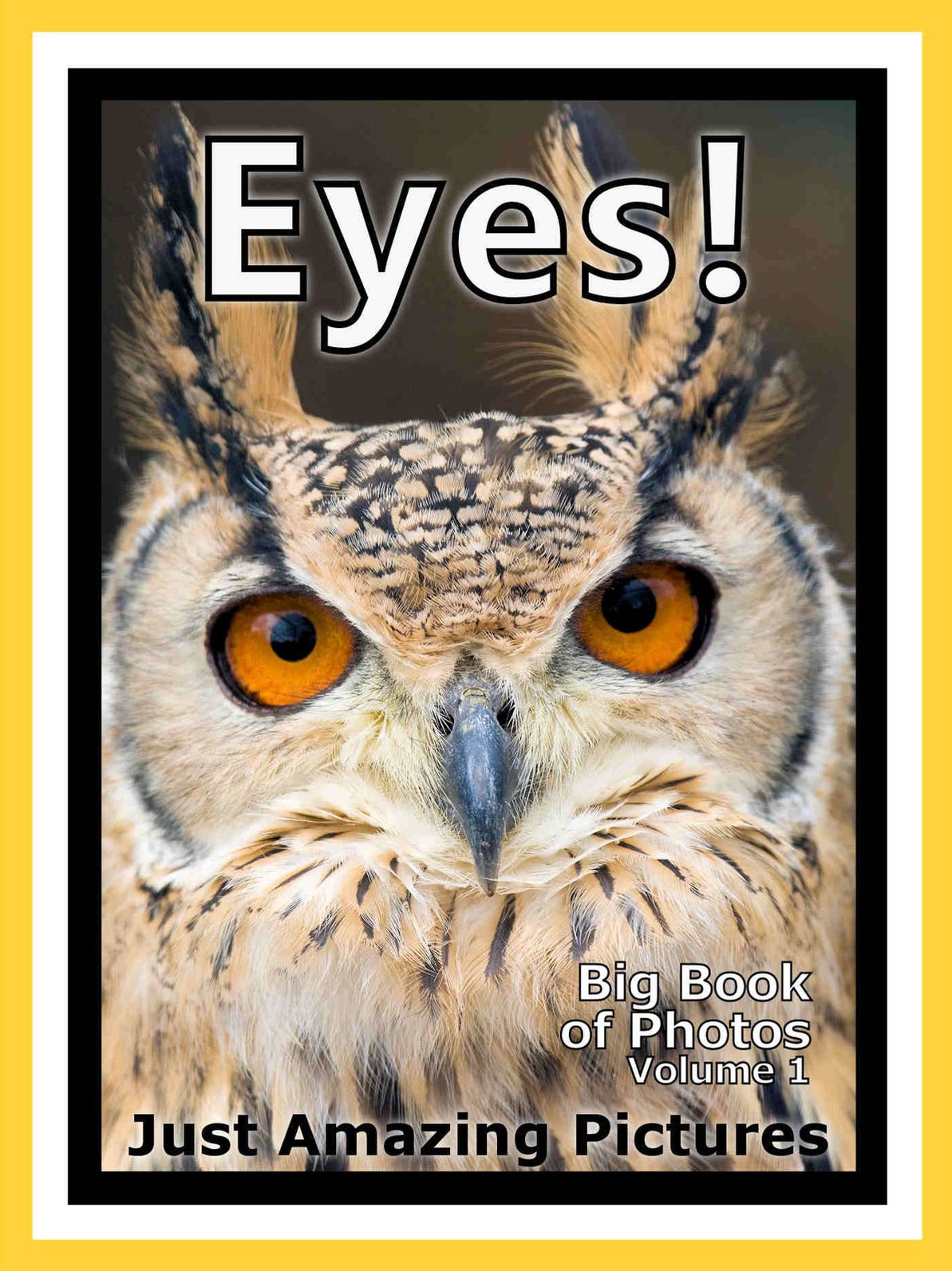 Just Eye Photos! Big Book of Photographs & Pictures of Eyes, Vol. 1
