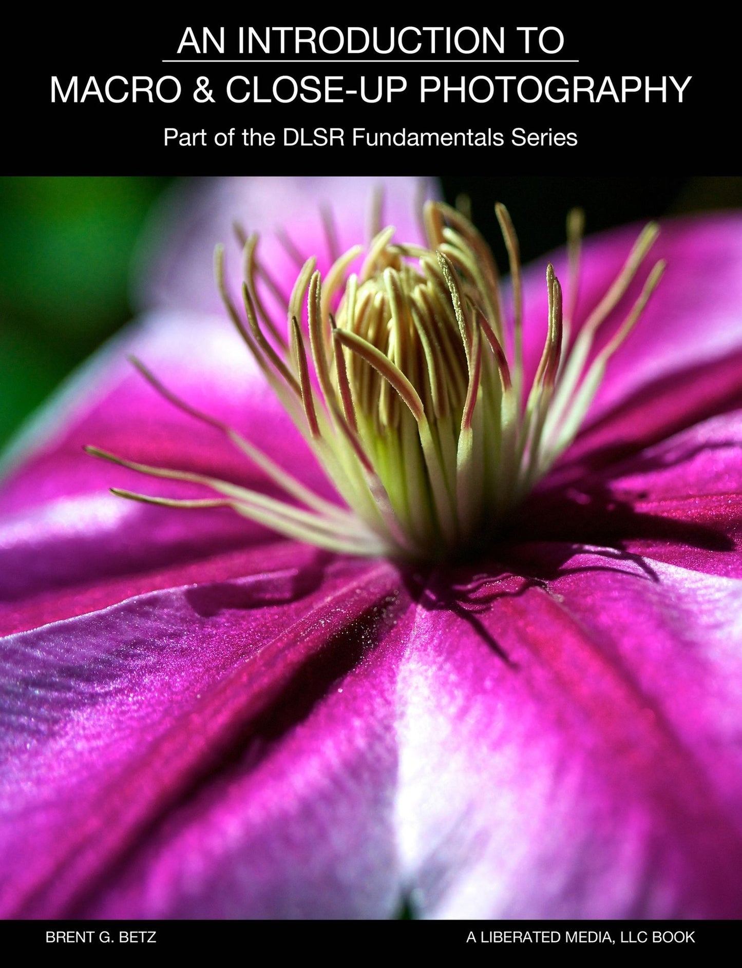 An Introduction To Macro And Close Up Photography: Part Of The DSLR Fundamentals Series
