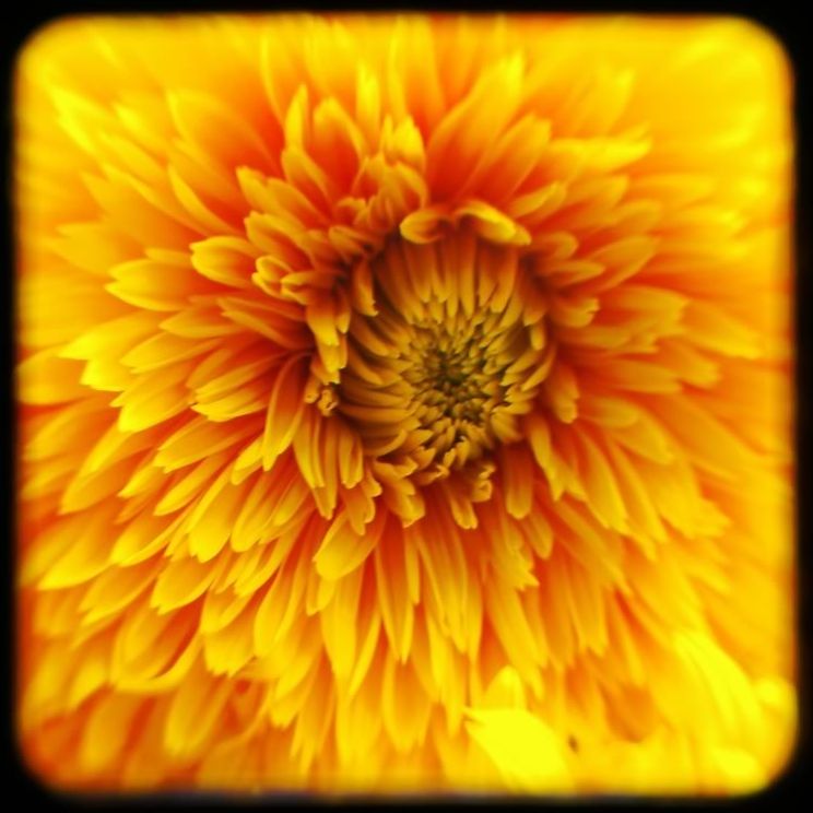 How To Overcome Inner Suffering In 90 Days Mini Booklet